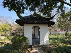 -秋霞圃