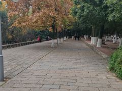 -峙山公园