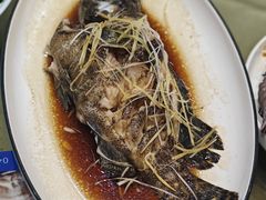 -鲜得莱渔港·小平岛海胆馆(七贤岭店)