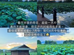 -怡得观滇餐厅·地道昆明菜·1996(海埂大坝店)