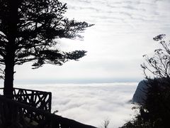 -瓦屋山景区