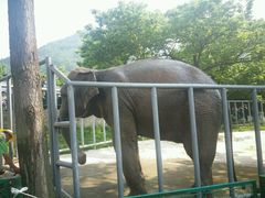 -西安秦岭野生动物园