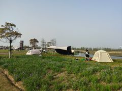 -春花秋色城市公园