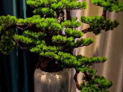 -和里合·颜愈SPA·Relax瑶浴·Massage(石厦店)