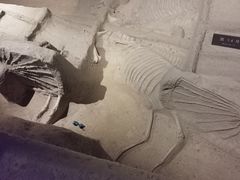 -洛阳周王城天子驾六博物馆