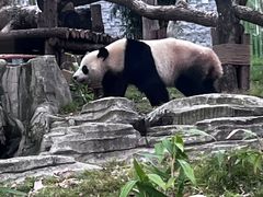 -武汉动物园