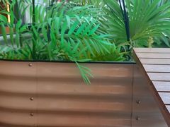 -必胜客(上海华谊新所店)