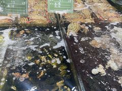 -味茂·老船夫1927(东海东路店)