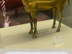 -茂陵博物馆