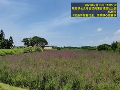 -良渚古城遗址公园