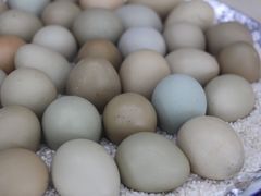 -爷爷的草帽·海鲜馆(孙塘路店)