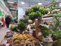 -双季花艺园艺市场(浦东店)