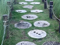 -红花山公园