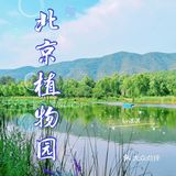 《快看看初秋时节的北京植物园有多美》