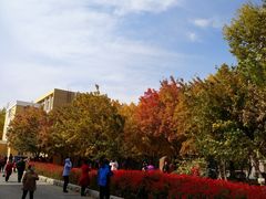 -辽宁大学(崇山校区)