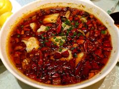 -陈麻婆豆腐总店