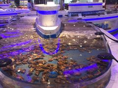 -澜悦港海鲜体验主题餐厅