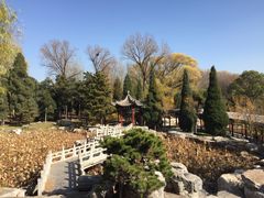 -晋祠公园