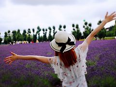 -富田农场