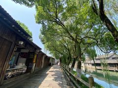 -乌镇东栅景区