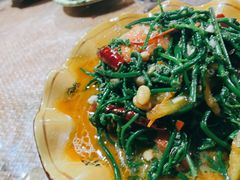 炒水蕨菜-西双版纳傣味园(昆前路店)