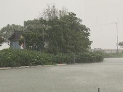 -晓琦农家菜馆·地道农家菜