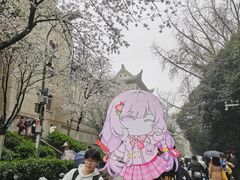 -武汉大学-樱园