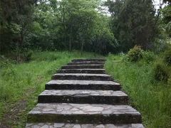 -巢湖姥山岛