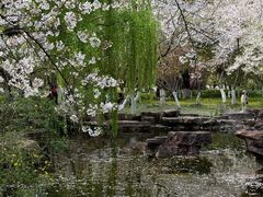 -范蠡湖公园