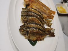 -五棵树•粤西高凉菜(琶洲店)
