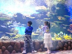 -华夏文旅海洋公园