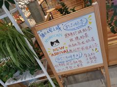 -猫的天空之城概念书店(印象城购物中心店)