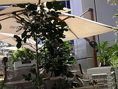 -tea'stone (万象天地店)