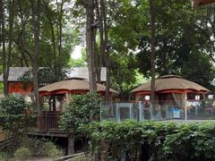 -二荆条·蜀鲜汇城市森林火锅