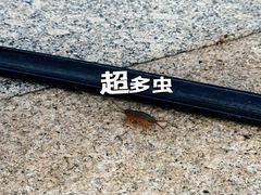 -宁波松兰山滨海旅游度假区