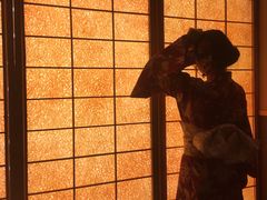 -重庆南山海昌汤都