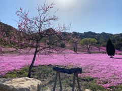 -昆嵛山石门里景区
