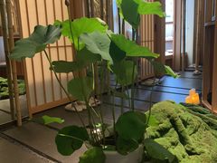 -梅间堂茶馆(绿地缤纷城店)
