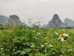 -明仕田园
