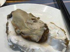 -77号渔船·蒸海鲜青岛菜(积米崖店)