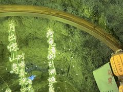 -秦岭天竺山景区