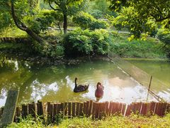 -南山风景名胜区