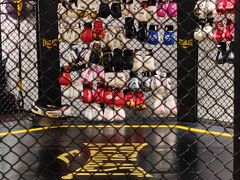 -FLARE STAR FITNESS(复地活力城店)