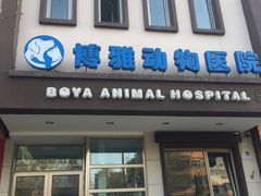 -纳吉亚猫专科动物医院博雅分院