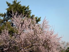 -长春市南湖公园