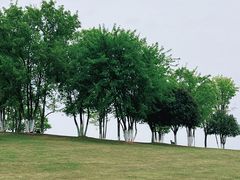 -盘龙城国家考古遗址公园