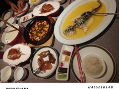 -秀儿四九城·新京菜(亚运村鸟巢店)