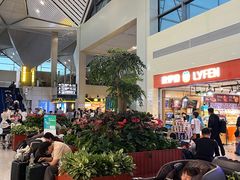 -西宁曹家堡国际机场-T2航站楼