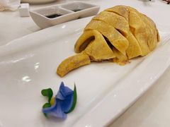 白斩鸡-金时代顺风大酒店(金山店)