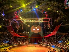 -俄罗斯国家大马戏团